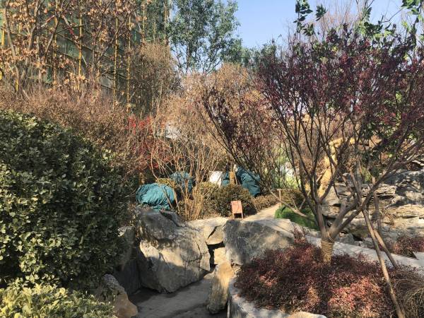 三盛璞悦湾_实景图_13