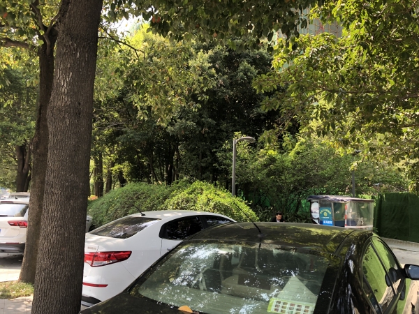 金色阳光名邸_小区配套_14