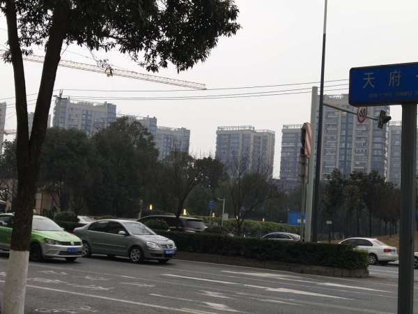 万科公园5号_实景图_15