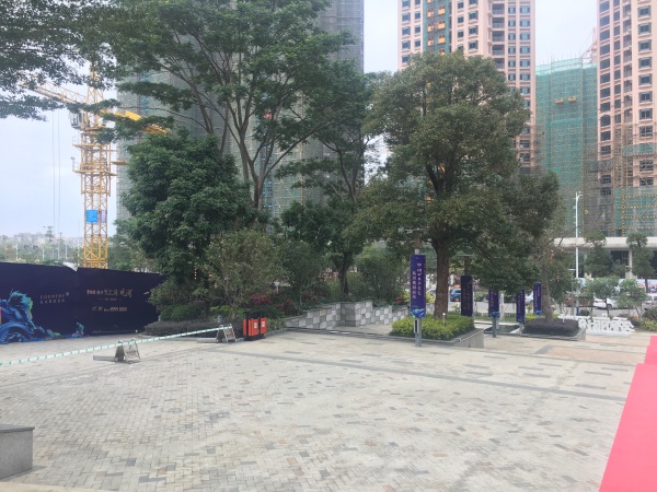 碧桂园联丰天汇湾_实景图_13