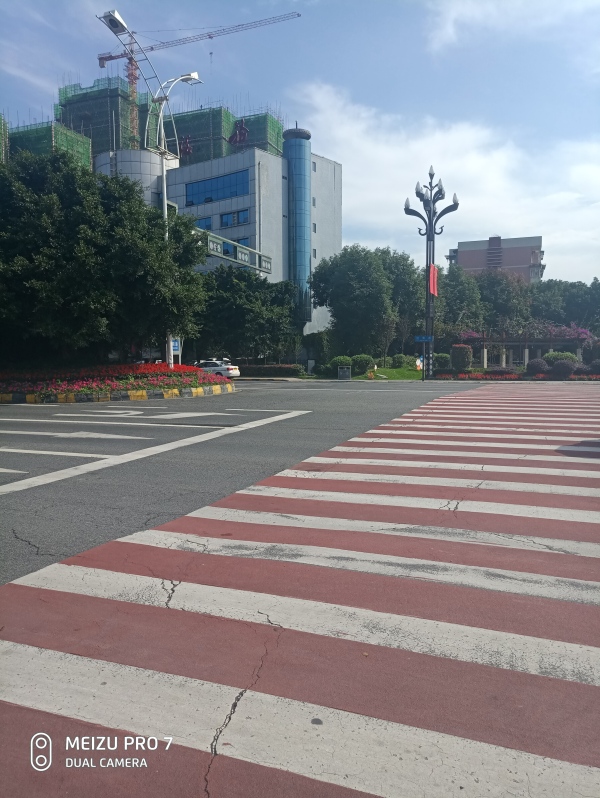 金色阳光名邸_实景图_23