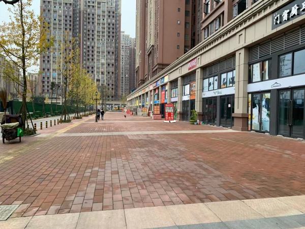龙腾御锦城_实景图_5