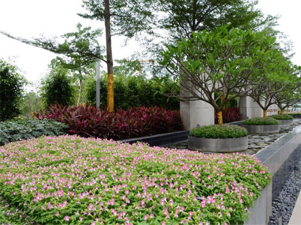 保利中悦广场_实景图_14