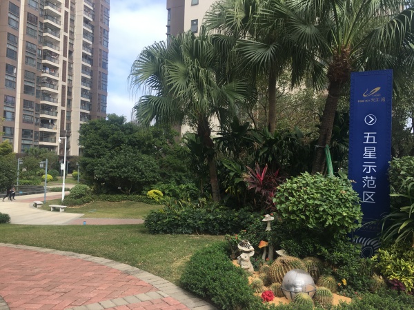 碧桂园联丰天汇湾_实景图_17