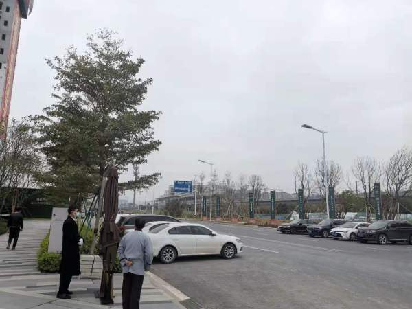 华润置地公元九里_实景图_7