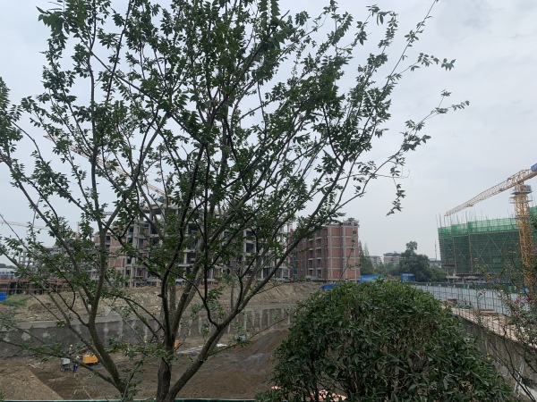 明信晓筑_实景图_14
