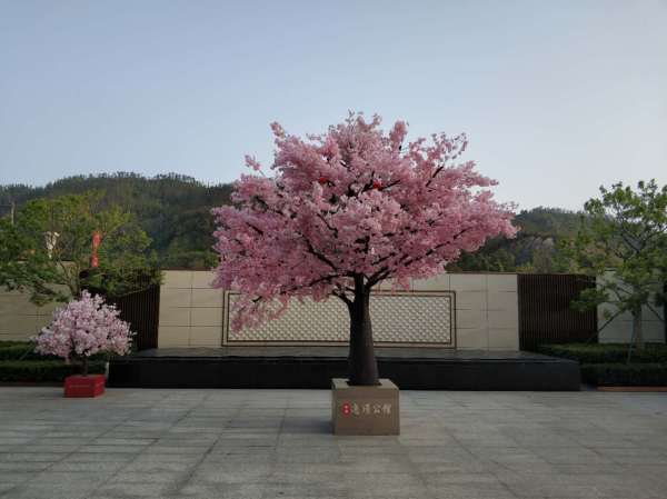 中冶逸璟公馆实景图