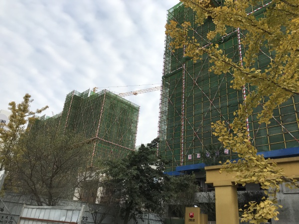 人居悦云庭_实景图_18
