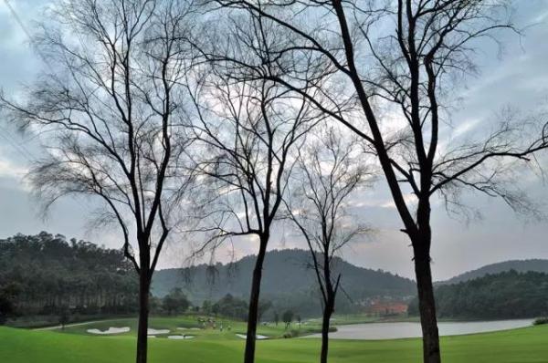 中信山语湖实景图