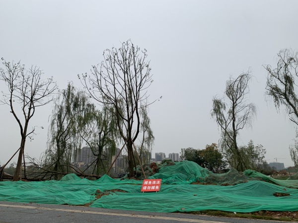 中铁悦鹿府_实景图_16