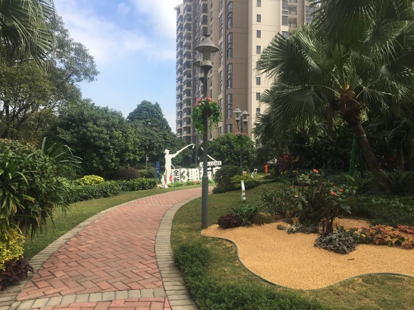 碧桂园联丰天汇湾_实景图_16