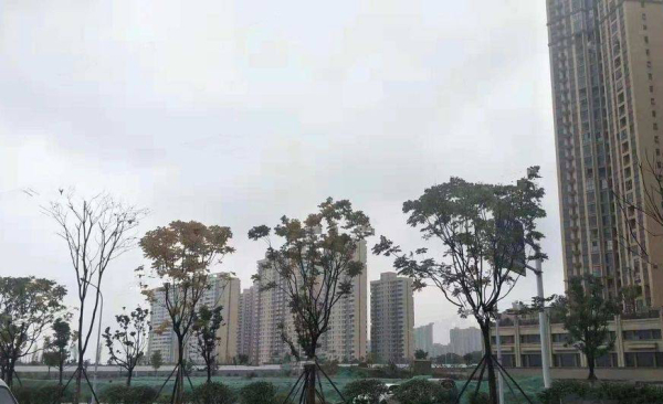 环亚高铁芯城_实景图_2