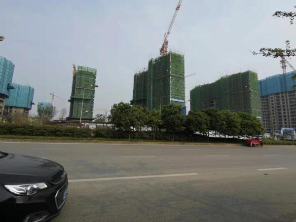 怡心湖岸二期_实景图_18