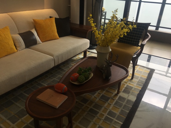 碧桂园联丰天汇湾_样板间_7