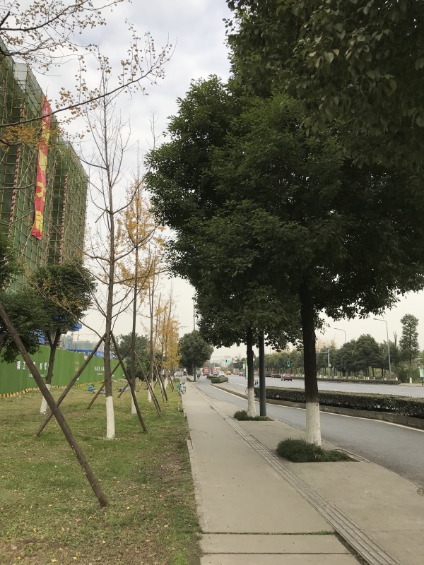 人居悦云庭_实景图_16