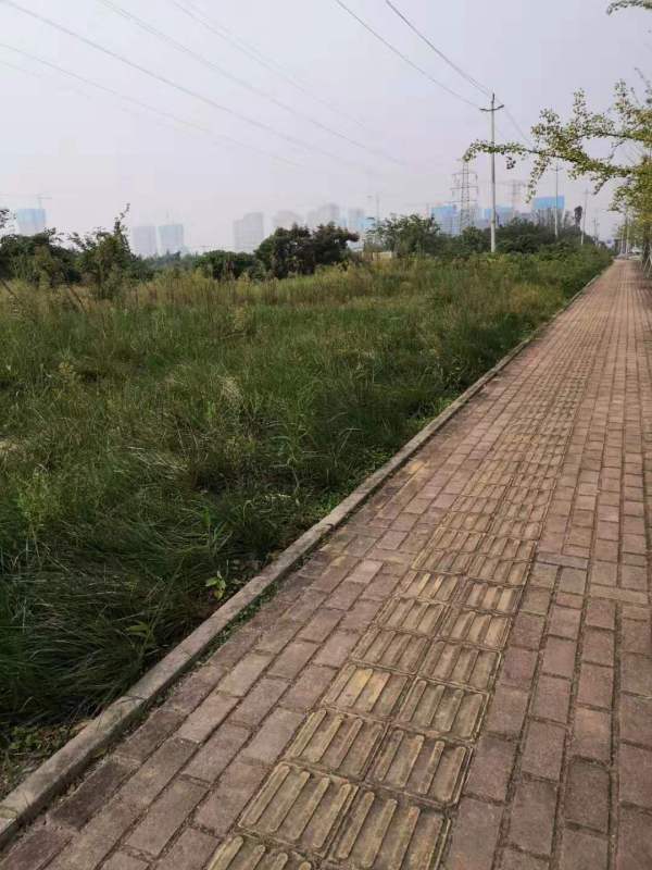 怡心湖岸二期_实景图_13