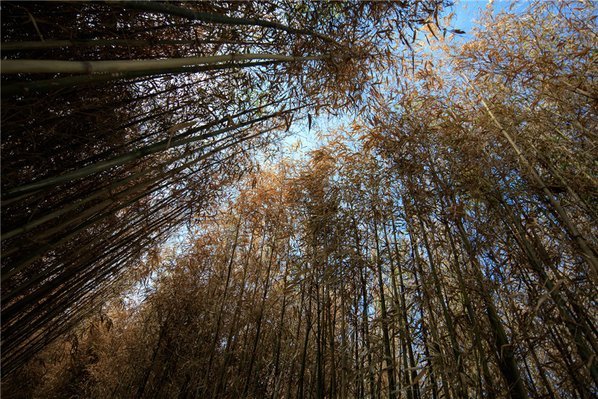 中航·当代半岛_效果图_2