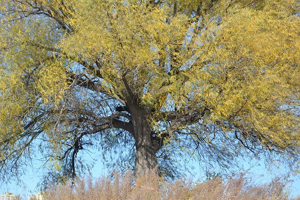 清河半岛_效果图_4