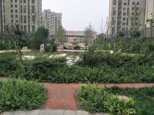 淄博美力城_实景图_2