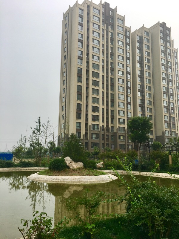 淄博美力城_实景图_3