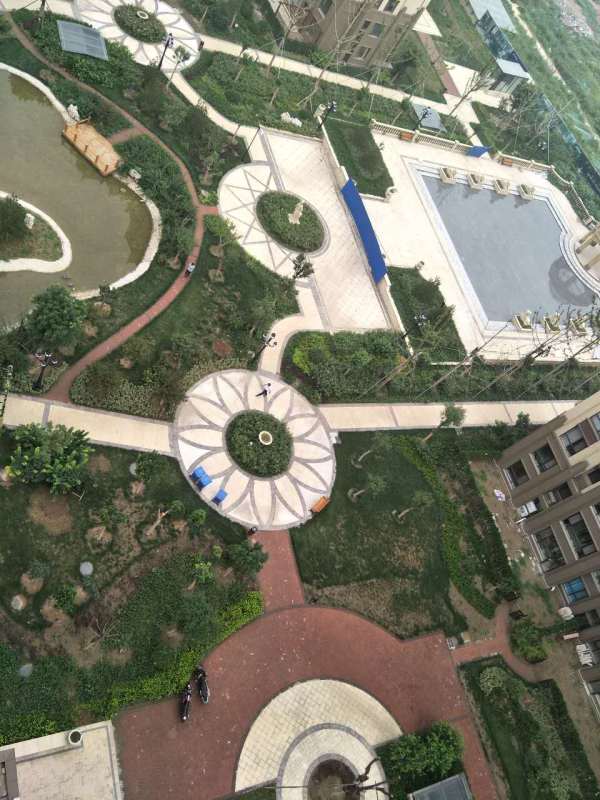 淄博美力城_实景图_5