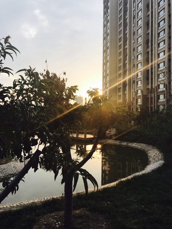 淄博美力城_实景图_6