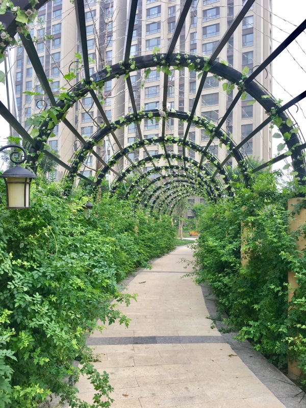 淄博美力城_实景图_11