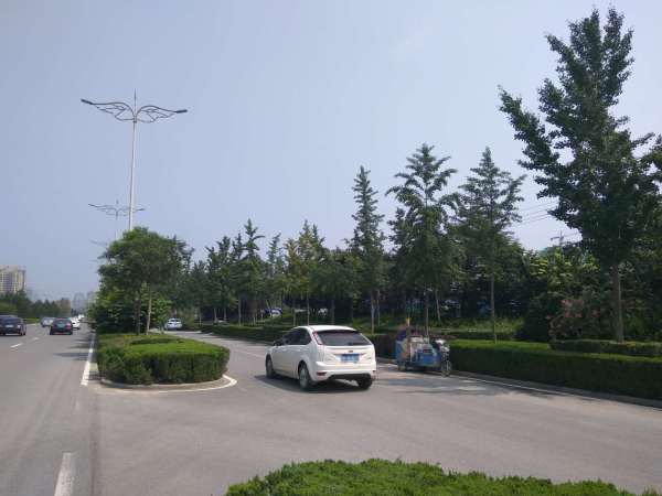 潍坊华安凤凰嘉苑_实景图_1