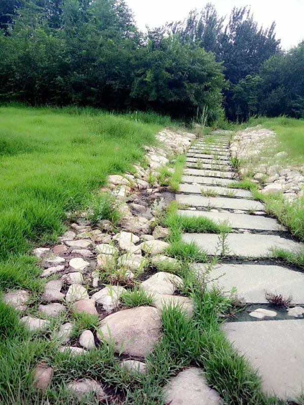 潍坊华安凤凰嘉苑_实景图_4