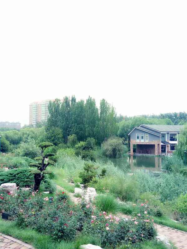 潍坊华安凤凰嘉苑_实景图_9