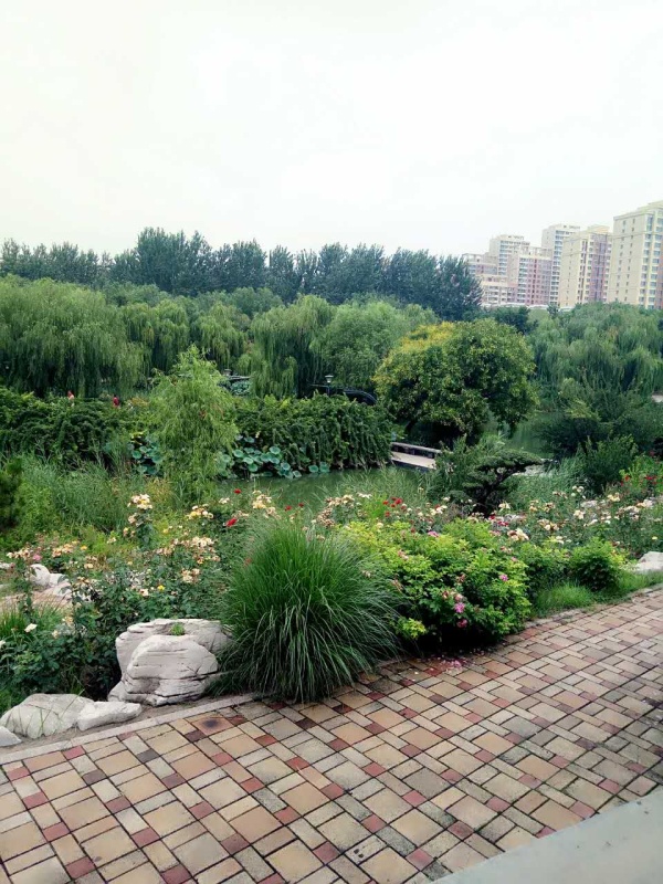潍坊华安凤凰嘉苑_实景图_12