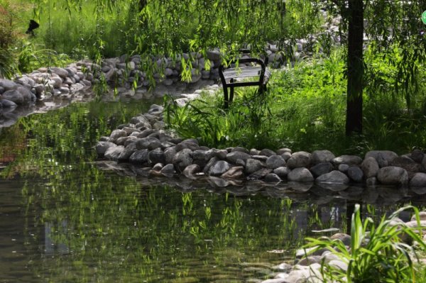 西安就掌灯_实景图_3