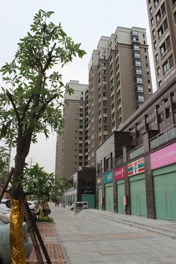 翼特丽景城_实景图_1