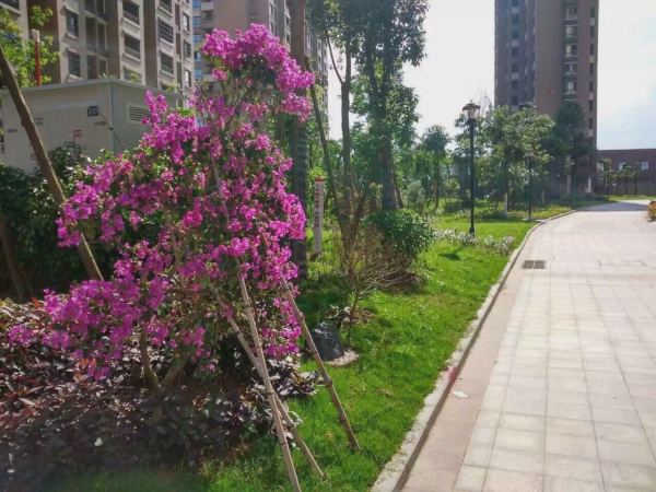 翼特丽景城_小区配套_6