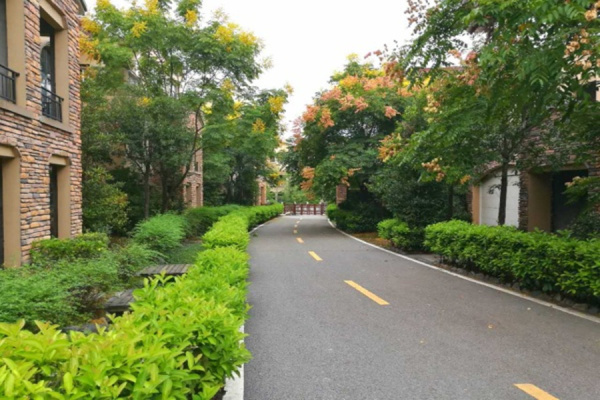 怀化万隆维也纳森林_实景图_2
