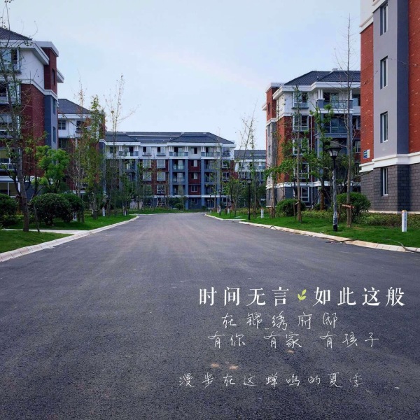 温哥华城·锦绣府邸实景图