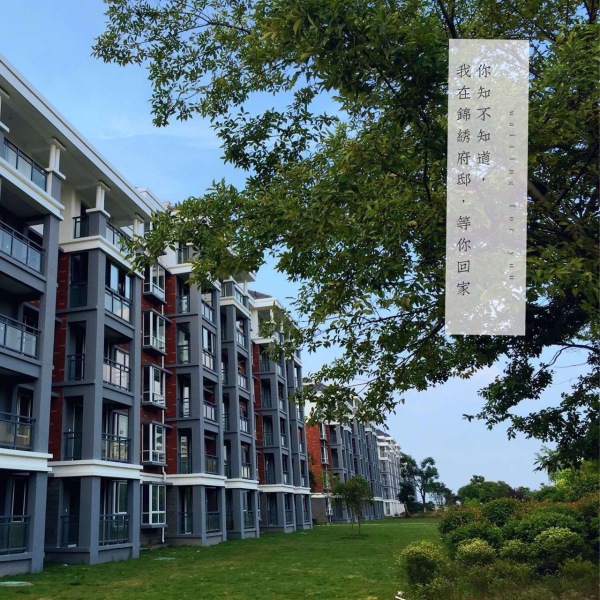 温哥华城·锦绣府邸实景图