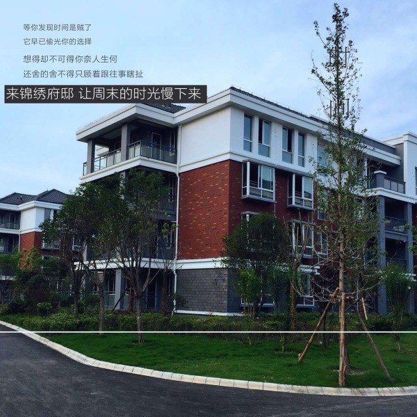 温哥华城·锦绣府邸实景图