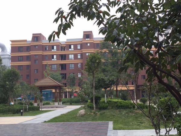 西安双府新天地_实景图_1