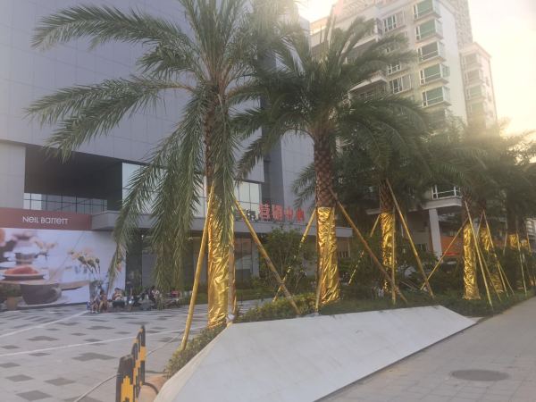 前海银鸿_实景图_3