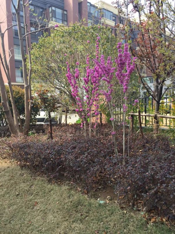 御山河_实景图_2