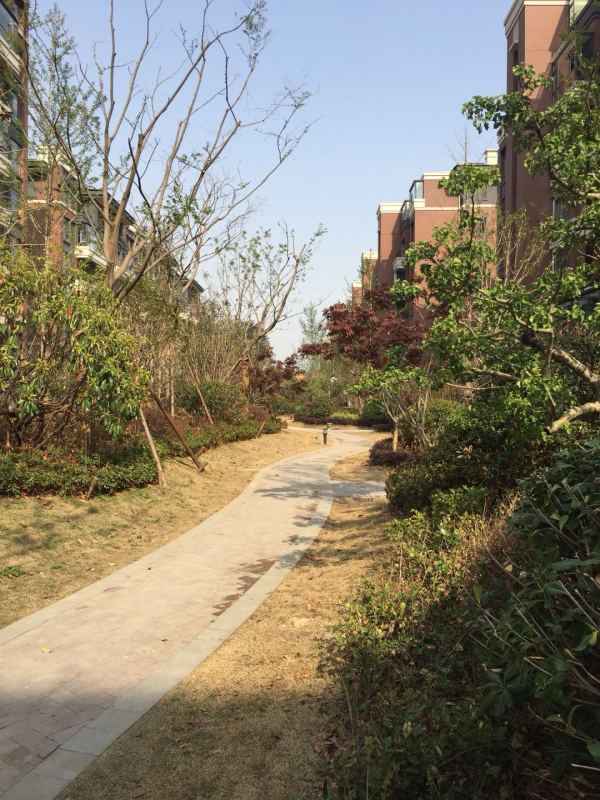 御山河_实景图_3