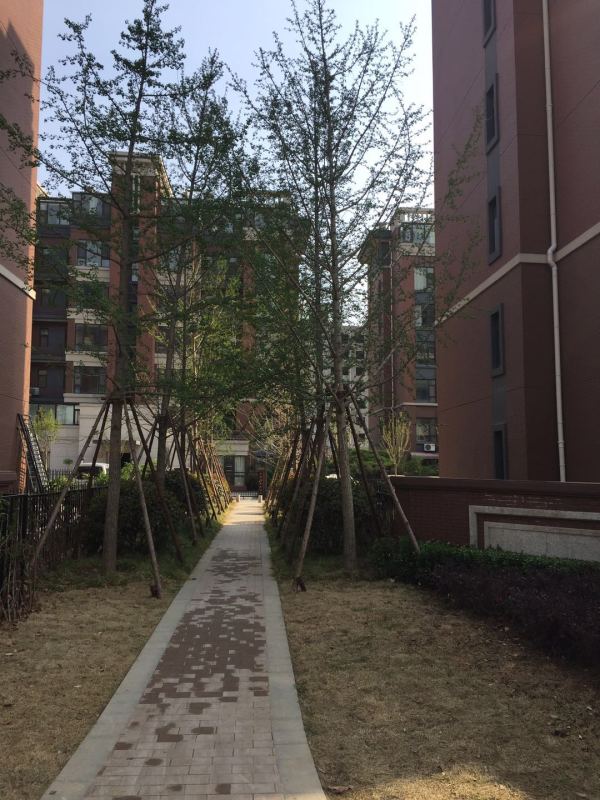 御山河_实景图_4