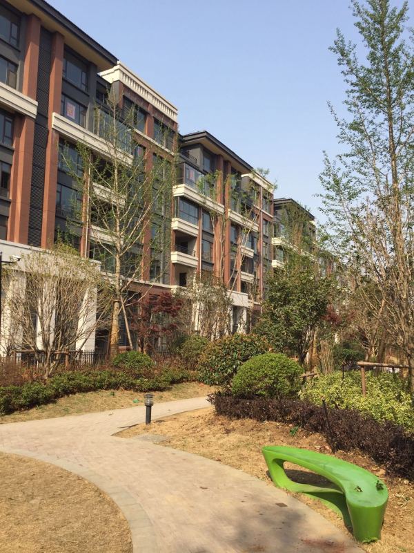 御山河_实景图_5