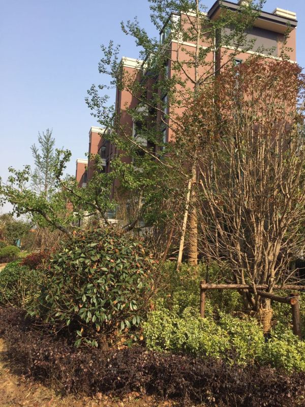 御山河_实景图_7