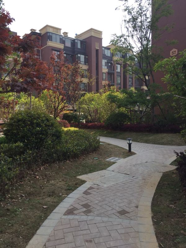 御山河_实景图_8