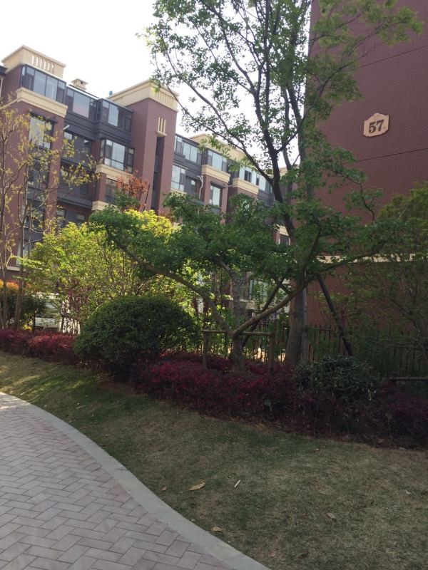 御山河_实景图_10