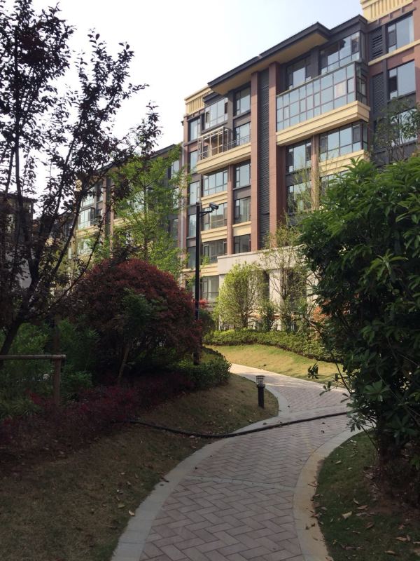 御山河_实景图_11