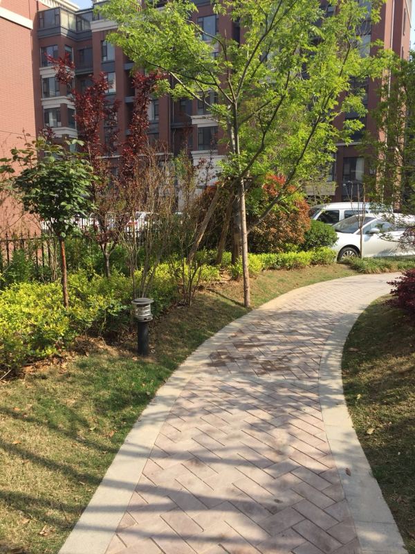 御山河_实景图_12