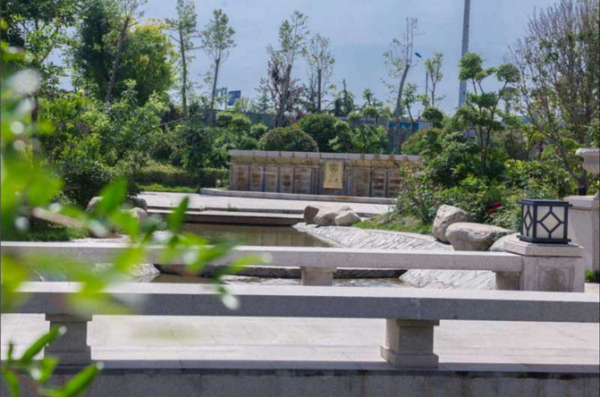 伊丽莎白花漾_实景图_4